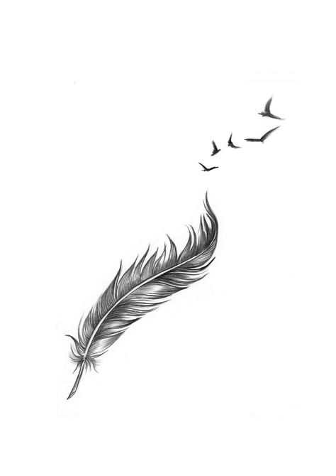 Feather With Birds Tattoo Design, Feather Tattoo Collar Bone, Simple Feather Tattoo, Feather Birds Tattoo, Bird Feather Tattoo, Feather Bird Tattoo, Plumas Tattoo, Plume Tattoo, Tattoo Plume