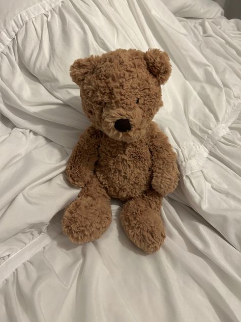 Medium Teddy Bear, Cute Bear Stuffed Animal, Jelly Cat Bear, Jellycats Aesthetic, Cat Jellycat, Soft Cozy Aesthetic, Jellycat Bear, Bear Jellycat, Jellycat Aesthetic