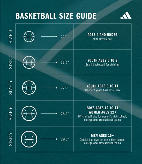 Basketball-Size-Guide-Blog-Image-01 Basketball Injury, Basketball Positions, Basketball Information, Organizational Hacks, Blog Image, Basketball Drills, Boys Basketball, Motivational Stories, Young Athletes