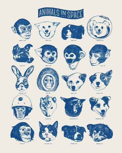 Animals In Space, Soviet Space Dogs, Laika Dog, Space Dogs, Space Animals, Space Dog, Manga Drawing Tutorials, Soviet Art, Space Print