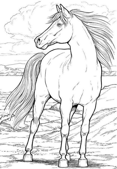 Horses Luxury, Horses Coloring, Dover Coloring Pages, Horse Coloring Books, Horse Standing, Free Horses, Horse Coloring Pages, Wood Burning Patterns, Horse Drawing