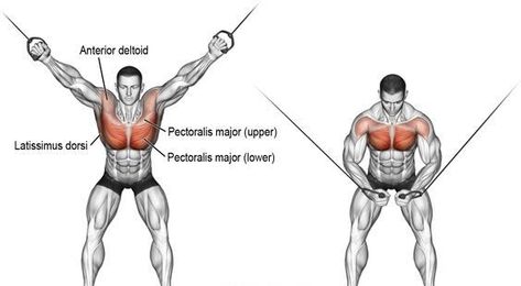 Chest Workout Cable Exercises, Workout Chest, Isolation Exercises, Chest Day, Latihan Dada, Cable Workout, Best Chest Workout, Chest Exercises, Chest Muscles