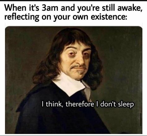 50+ Art Memes For People Of Culture - Memebase - Funny Memes Cant Sleep Quotes, Philosophy Memes, Classical Art Memes, Sleep Quotes, I Cant Sleep, Cant Sleep, Funniest Memes, Star Wars Memes, Sleepless Nights