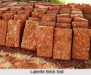 Laterite soil is a unique and significant soil type found in specific regions of India. Its concentration in states like Kerala, Karnataka, Goa, Maharashtra, and Odisha has led to diverse uses ranging from agriculture to construction. For more, visit the page below: #lateritesoil #soil #geography #physiology #agriculture #plains #plateau Laterite Stone, Africa Architecture, Stone House Plans, Fly Ash Bricks, Farm Community, Hut Design, Types Of Bricks, Mud House, Modernist House