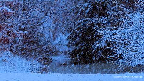 Animated Banners, I Love Winter, Banner Gif, Snowy Day, Aesthetic Gif, Winter Aesthetic, Christmas Aesthetic, Daily Quotes, The Snow