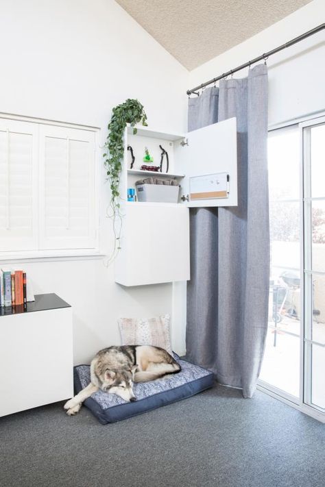 15 Smart Tips for Organizing a Small Apartment | HGTV Apartment With Dog, Used Kitchen Cabinets, Dog Bags, House Upgrades, Upper Cabinet, Tips For Organizing, Landscape Flowers, Creative Landscape, Studio Apartment Layout