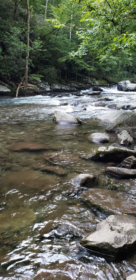 Little River Lakes And Rivers, Flowing Water Aesthetic, Aesthetic River Pictures, Rivers Picture, River Side Landscape, River Pics, Creek Aesthetic, River Aesthetic, River Photos