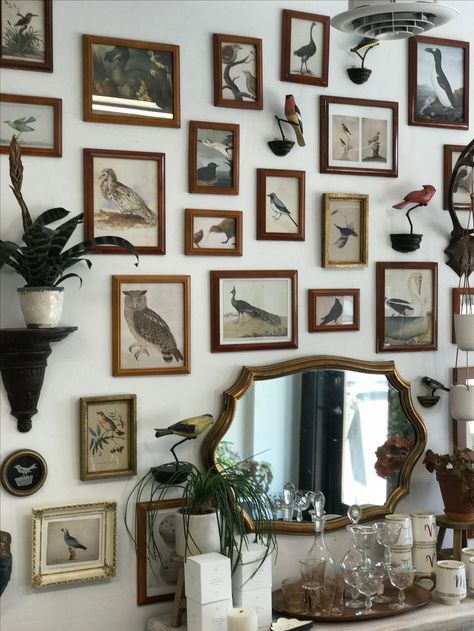 Bird Gallery Wall Art, Animal Gallery Wall, Bird Room Decor, Rock Gallery Wall, Bird Gallery Wall, Natural History Decor, Nature Gallery Wall, Bird Room Ideas, Naturalist Aesthetic