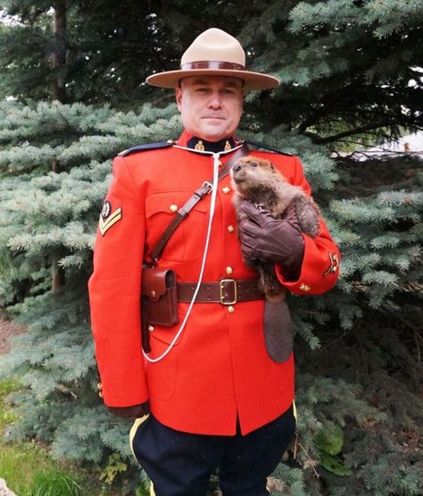 Mountie posing with a baby beaver = One of the most Canadian photos ever Canadian Memes, Canadian Humor, Baby Beaver, Meanwhile In Canada, Hetalia Headcanons, Canadian Things, Canadian Landscape, I Am Canadian, Canada Eh