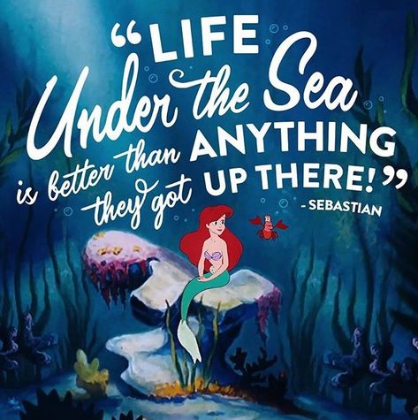 Ariel Quotes, Disney Friendship Quotes, Little Mermaid Quotes, Love Friendship Quotes, Sea Quotes, Mermaid Quotes, Princess Nursery, Life Under The Sea, Disney Movie Quotes