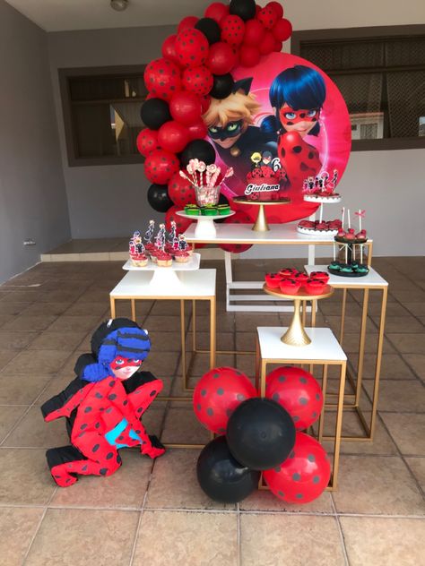 Ladybug Birthday Theme, Ladybug Party Decorations, Ladybug Decor, Miraculous Ladybug Party, Childrens Party Decorations, Ladybug Cake, Ladybug Decorations, Ladybug Birthday Party, Ladybug Theme