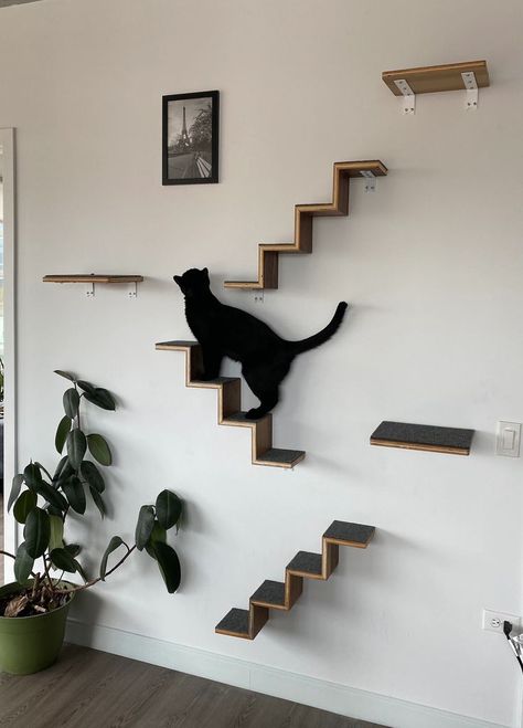 Cat Room Diy, Cat Climbing Wall, Cat Stairs, Walnut Plywood, Cat Wall Furniture, Cat House Diy, Cat Steps, Cats Case, Wall Furniture