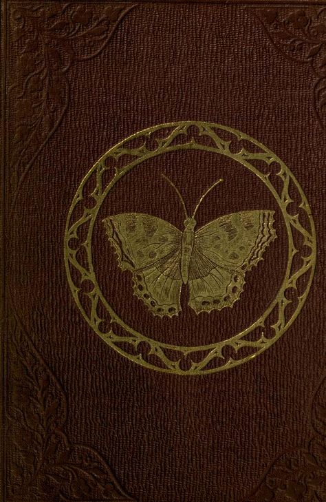 Popular British entomology; - Biodiversity Heritage Library British Library Aesthetic, The British Library London, Books Beautiful, Britanica Encyclopedia, British Literature, British Library Flickr, Art People, Beautiful Books, Antiquarian Books