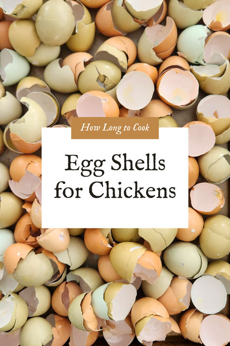 How Long to Cook Egg Shells for Chickens to Eat? Feeding Chickens Egg Shells, Herbs For Chickens, Prepared Eggs, How To Make Eggs, Ways To Cook Chicken, Backyard Chicken Farming, Chicken Eating, Farm Lifestyle, Mini Farm