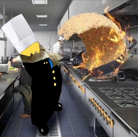 Gato cozinhando com cosplay de Sanji(One Piece) Sanji Cooking, Sanji Meme, Cute Icons, Brain, Kitty, One Piece, Collage, Memes, Anime