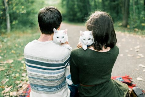 Family Photo shoot with Cats. Marquette, Michigan Engagement Adventure Photographer Cat Family Photo, Pet Family Photos, Life With Cats, Marquette Michigan, Animal Photoshoot, Kitty Photos, Pet Pictures, Cat Wedding, Family Photo Shoot