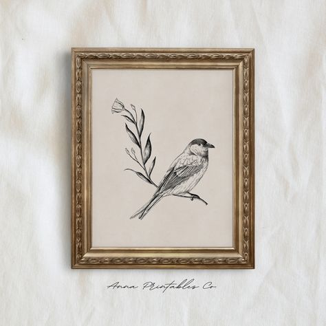 "Antique bird illustration wall art print for digital download. This vintage aesthetic printable wall art would make great DIY wall decor for any home or apartment. Simply download, print, and frame! This is an INSTANT DOWNLOAD of a single print. Kindly note that no physical product will be shipped to you.  Files will be available for download after payment is confirmed, and can be printed at home or at a professional print shop.  Included in your digital download are 5 high-quality JPG files de Minimalist Farmhouse Wall Art, Classic Vintage Home Decor, Bridgeton House, Vintage Bird Prints, Vintage Animal Art, Antique Bird Illustration, Light Academia Decor, Wall Art Light, Vintage Bird Illustration