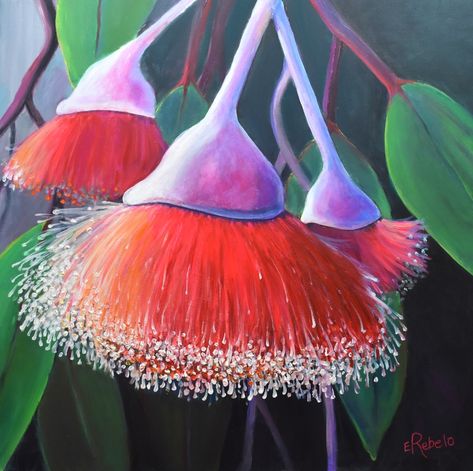 Gum Blossoms by Emilia Rebelo Gum Blossom, Sip N Paint, Kings Park, Acrylic Flower, Farm Decor, Acrylic Flowers, Buy Art Online, Australian Art, Flower Photos