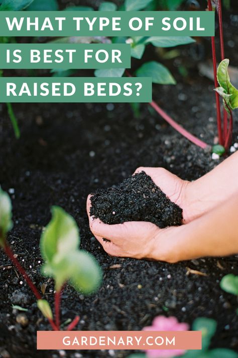 What Type of Garden Soil Is Best for Raised Beds? Layering Soil For Raised Beds, Best Soil Mix For Raised Beds, Raised Garden Soil Mixture, Soil Prep For Vegetable Garden, Garden Soil Mixture Raised Beds, Best Plants For Raised Garden Beds, Best Veggies To Grow In Raised Beds, Raised Bed Soil Recipe, Raised Garden Bed Soil Mixture