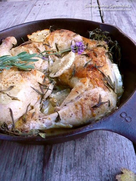 Honey Lemon Lavender Chicken ~ Sumptuous Spoonfuls #chicken #recipe Recipes Using Lavender, Lavender Chicken, Using Lavender, Roasted Chicken Recipe, Lavender Products, Kitchen Witch Recipes, Cooking With Essential Oils, Lavender Recipes, Culinary Lavender