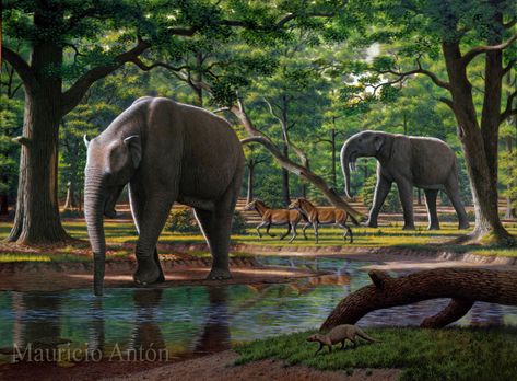 Prehistoric Wildlife, Prehistoric World, Ancient Animals, Paleo Art, Science Photos, Extinct Animals, Dinosaur Art, Jurassic Park World, Charles Darwin