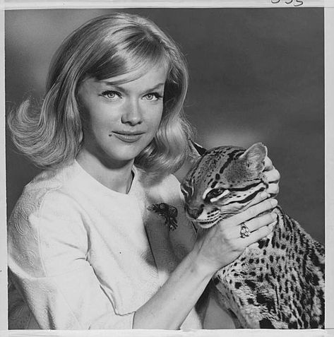 Anne Francis as "Honey West" and Bruce the ocelot. Honey West, Anne Francis, Female Detective, Forbidden Planet, Charlie’s Angels, Thanks For The Memories, Science Fiction Film, Twilight Zone, Old Tv Shows