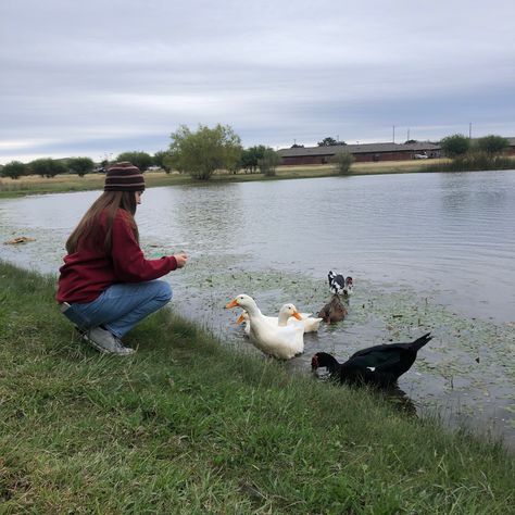 Feeding Ducks Aesthetic, Laney Core, Farm Poses, Mbti Core, Duck Feeding, Feeding Ducks, Duck Feed, Scilly Isles, Duck Photo