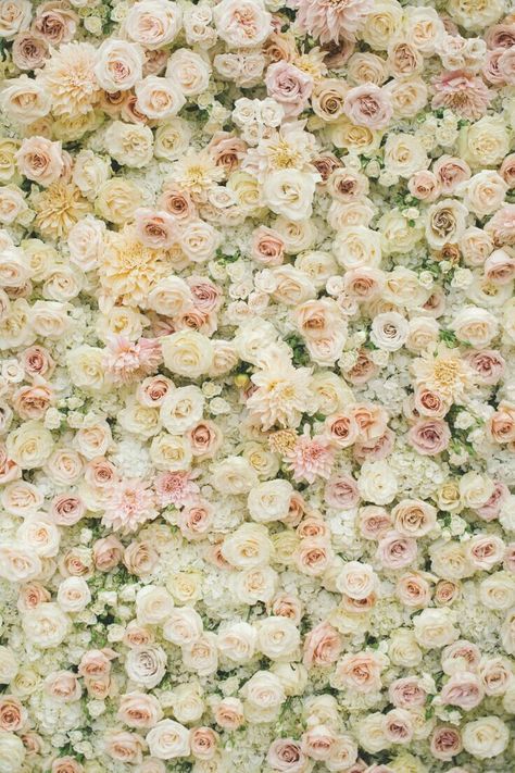 Flower Wall Wedding, Flower Wall Backdrop, Paper Flower Backdrop, Flower Background, Wall Backdrops, Flower Backdrop, Arte Floral, Wedding Images, Flower Backgrounds