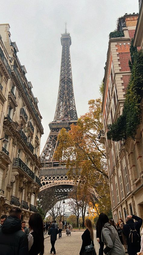 Paris in November: A 5-Day Thanksgiving Getaway Disneyland Paris In November, Thanksgiving In Paris, Paris Switzerland, Paris In March, 5 Days In Paris, Thanksgiving Getaways, Paris In November, Montparnasse Paris, Traveling To Paris