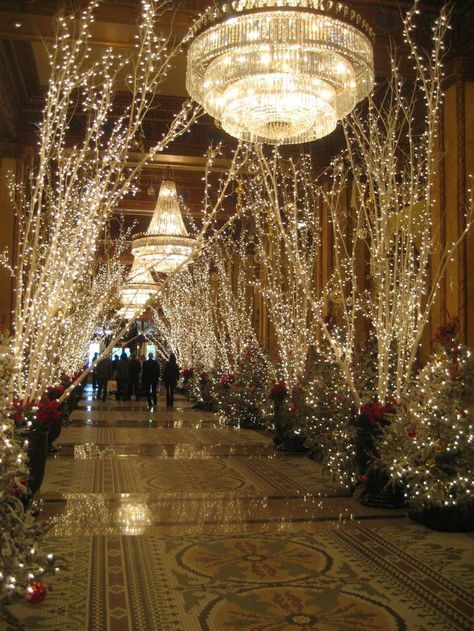 XMAS DECOR Lighted Trees, New Orleans Christmas, Roosevelt Hotel, Xmas Deco, Winter Wonderland Wedding, White Lights, Christmas Wedding, Reception Decorations, Outdoor Christmas