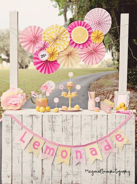 Lemonade Stand Birthday, Lemonade Stand Party, Diy Lemonade Stand, Diy Lemonade, Pink Lemonade Party, Lemonade Party, Party Stand, Sunshine Birthday, Birthday Banners