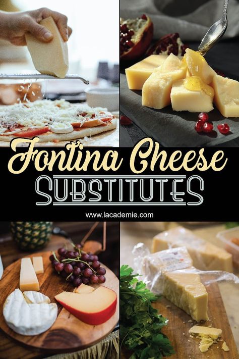 There are several kinds of cheese you can use to replace Fontina cheese. Barata Cheese, Cheddar Cheese Curds, Edam Cheese, Emmental Cheese, Fontina Cheese, Gouda Cheese, Cheese Curds, Types Of Cheese, Provolone Cheese