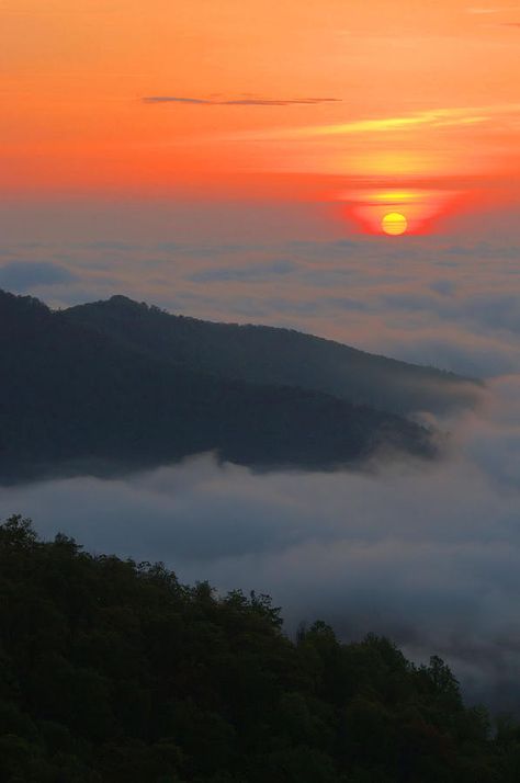 Skyline Drive, Shenandoah Valley, Shenandoah National Park, Fairy Queen, Elopement Locations, Beautiful Sunrise, Blue Ridge Mountains, Blue Ridge, Places Around The World