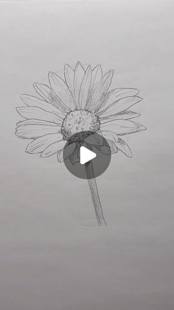 How To Flowers Drawing, How To Draw Daisy Flowers Step By Step, Drawings Of Sunflowers Easy, How To Draw Something Easy, Drawing A Flower Easy, How To Draw Flowers Videos, Drawing Reference Flowers, How To Draw Aesthetic Flowers, How To Draw A Cute Flower