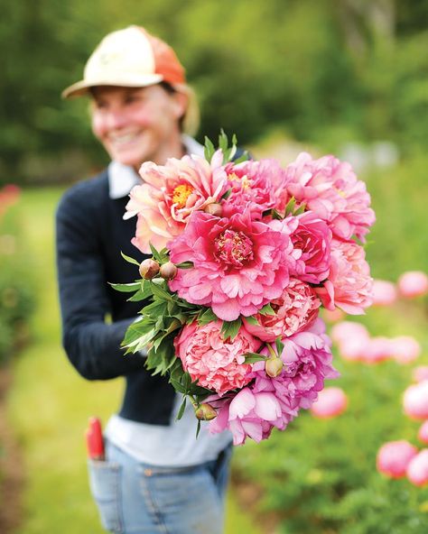 This Peony Farm Is a Dream for Cottage Garden Enthusiasts - The Cottage Journal Peony Farm, Peonies Centerpiece, Cottage Journal, Peony Garden, Planting Peonies, Peonies And Hydrangeas, Cottage Garden Design, Cottage Garden Plants, Cut Flower Garden