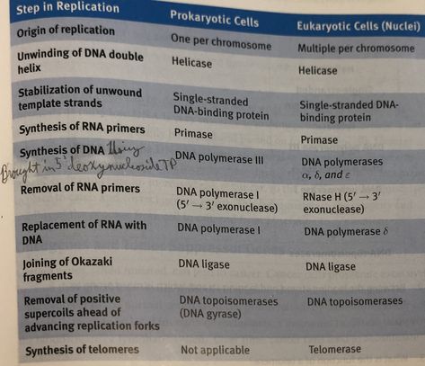 Phosphodiester Bond, Dna Ligase, Rna Polymerase, Dna Polymerase, Learn Biology, Mitochondrial Dna, Dna Replication, Nursing School Studying, Snapchat Picture