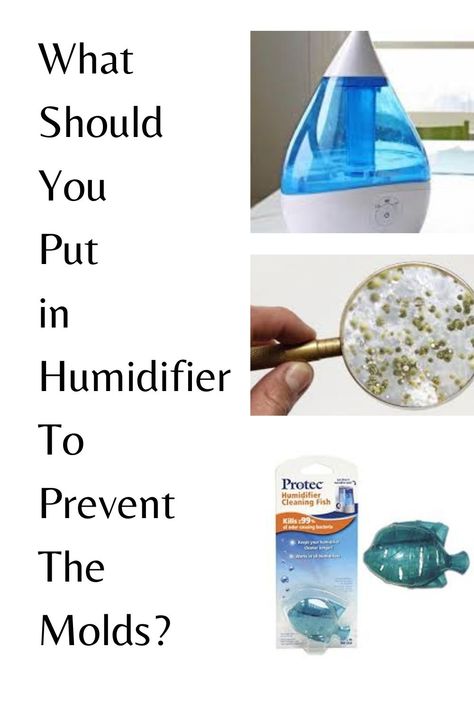 Humidifier Cleaning, Cleaning Humidifier, How To Clean Humidifier Vinegar, Clean Humidifier, Diy Humidifier, How To Clean Humidifier, Small Kitchen Pantry, Room Humidifier, Cleaning Fish