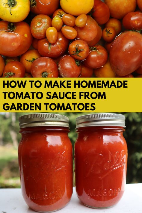 Dreaming of making your own tomato or pasta sauce? This guide will walk you through all the easy steps to make tomato sauce from scratch! #homemadetomatosauce #tomatosauce #pastasauce #homegrown #tomatoes #gardentomatoes Homemade Tomato Sauce From Garden Tomatoes, Fresh Tomato Sauce For Canning, Preserving Tomato Sauce, Tomato Sauce From Garden Tomatoes, Homemade Tomato Sauce With Fresh Tomatoes For Canning, Sauce From Garden Tomatoes, Best Tomato Sauce For Canning, Pasta Sauce Recipes Using Fresh Tomatoes, How To Make Tomato Sauce With Fresh Tomatoes