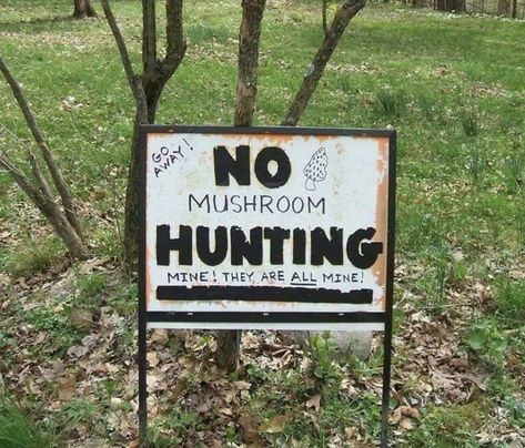 Mushroom Hunting, Donna Tartt, The Secret History, Gremlins, What’s Going On, A Sign, Dumb And Dumber, Hunting, Stuffed Mushrooms