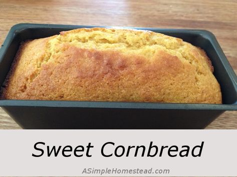 sweet-cornbread | ASimpleHomestead.com Cornbread Loaf, Recipe Cornbread, Simple Homestead, Best Cornbread Recipe, Cornbread Recipe Sweet, Honey Cornbread, Cornbread Easy, Johnny Cake, Homemade Coleslaw