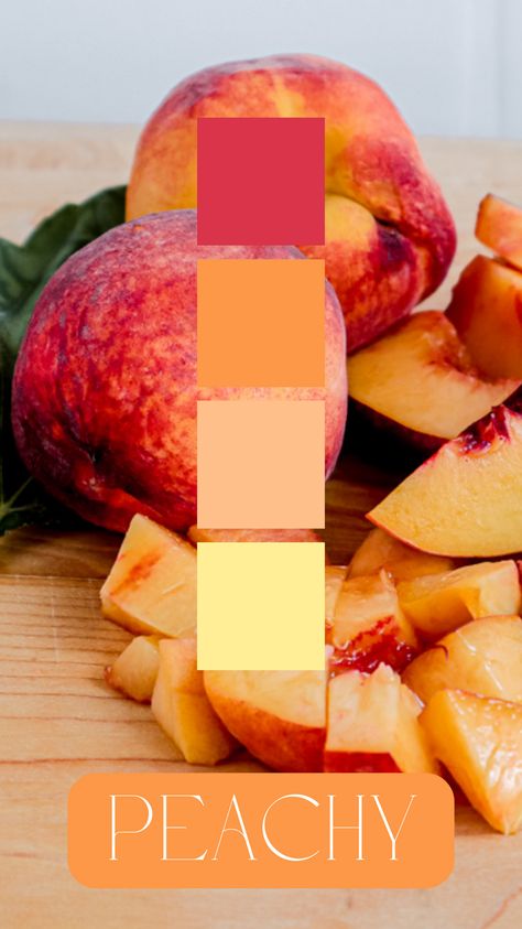 Peachy Color Palette by Felicity & Lilac Events Peachy Color Palette, Fruit Wedding, Orange Color Palettes, Peach Fruit, Phone Inspo, Color Palettes, Orange Color, Color Palette, Lilac