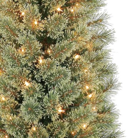 Cashmere Christmas Tree, 7ft Christmas Tree, Christmas Tree Clear Lights, Slim Artificial Christmas Trees, Church Lobby, Christmas Tree Storage Bag, Pencil Trees, Christmas Tree Storage, Christmas Tree Sale