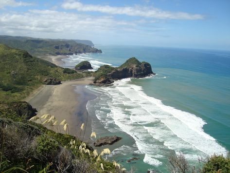 Bethells Beach Bethells Beach, Beach New Zealand, New Zealand Beach, Best Swimmer, Surf Life, Travel Outdoors, Special Places, Auckland, Wonderful Places