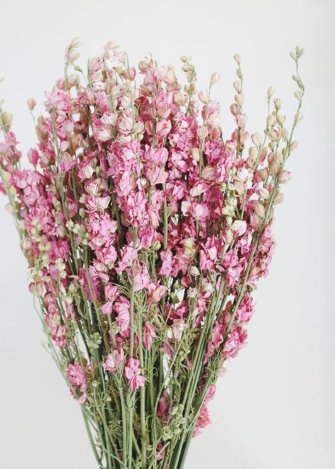 Wedding Centerpieces Pink, Larkspur Delphinium, Wildflower Bridal Bouquets, Fall Wedding Bouquet, Larkspur Flower, Delphinium Flowers, Fall Wedding Centerpieces, Rustic Fall Wedding, Fall Wedding Bouquets