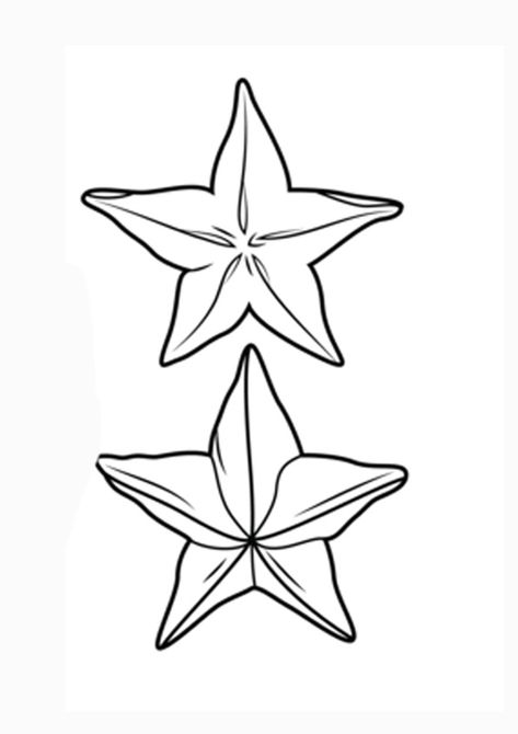 Star Fruit Coloring Pages Free Download Star Fruit Tattoo, Starfruit Tattoo, Fruit Coloring, Fruit Tattoo, Star Fruit, Fruit Coloring Pages, Fruits Drawing, Fruit Illustration, Drawing For Kids