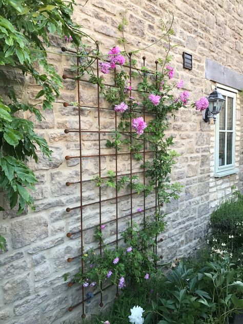 Add a touch of elegance to my garden with the stunning Decorative Wall Trellis 🌿 It's the perfect blend of functionality and style, providing support for my climbing plants while creating a beautiful focal point in any outdoor space🌱 https://www.harrodhorticultural.com/harrod-decorative-wall-trellis-panels-straight-trellis-pid9623.html Garden Trellis Panels, Brick Wall Gardens, Metal Garden Trellis, Wall Trellis, Garden Wall Designs, Trellis Ideas, Metal Trellis, Trellis Panels, Outdoor Trellis