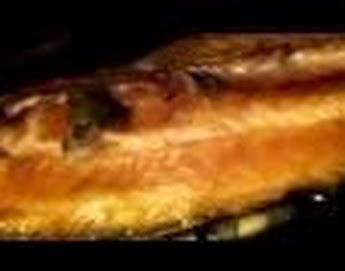 Smoked Carp | Just A Pinch Recipes Smoked Carp Recipe, Carp Recipes, Seafood Board, Just A Pinch Recipes, Smoked Fish, Smoker Recipes, Just A Pinch, Supper Recipes, Smoked Food Recipes