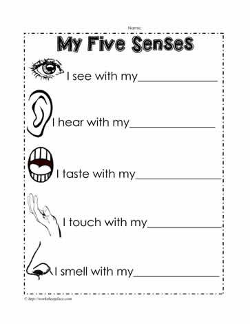 5 Senses Words Worksheet Esl Prepositions, Five Senses Kindergarten, 5 Senses Worksheet, Five Senses Worksheet, Blaze Party, Crab Crafts, Words Worksheet, My Five Senses, Basic Sight Words