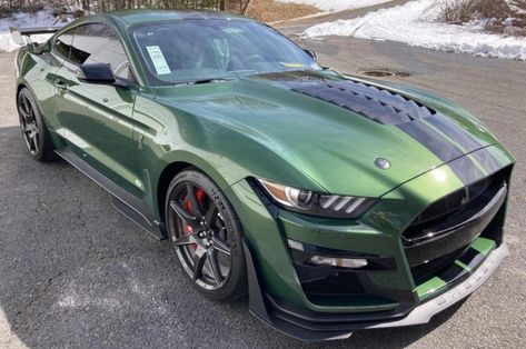 2022 Ford Mustang Shelby GT500 Carbon Fiber Track Pack (#N1031, Eruption Green) Eruption Green Mustang, Green Mustang Gt, Mustang Stripes, Green Mustang, 2022 Ford Mustang, Green Inspo, Mustang Gt500, Ford Mustang Shelby Gt500, 2015 Mustang