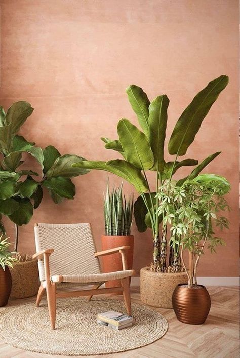 Sconces Above Desk, Terracota Dinning Room, Terracota Limewash Wall, Terracotta Limewash Bedroom, Terracota Kitchen Ideas, Limewash Terracota, Terra Cotta Interior Design, Orange Limewash Walls, Desert Aesthetic Living Room